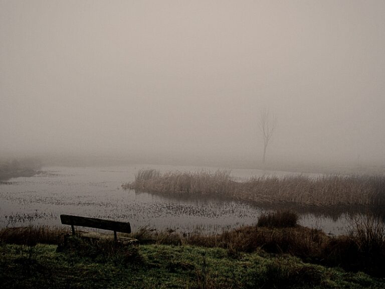 Paisaje de la sierra de Guadalajara con niebla. Se ven un trozo de laguna, un banco y algo de extensión de tierra. En su mayoría está todo tapado con la niebla.