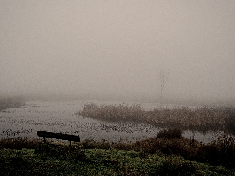 Paisaje de la sierra de Guadalajara con niebla. Se ven un trozo de laguna, un banco y algo de extensión de tierra. En su mayoría está todo tapado con la niebla.