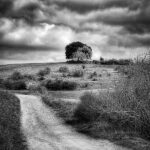 Imagen en blanco y negro de paisaje en el que se ve un camino de tierra, hierbas alrededor y al fondo dos árboles. En el cielo se ven muchas nubes de tormenta.