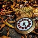 Reloj de cuerda roto sobre unas hojas caídas.