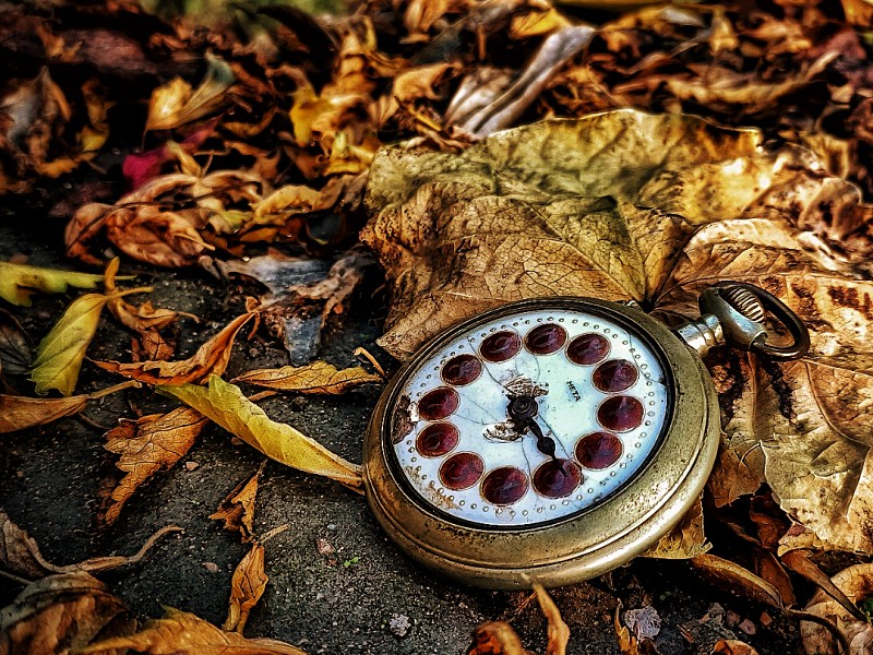 Reloj de cuerda roto sobre unas hojas caídas.