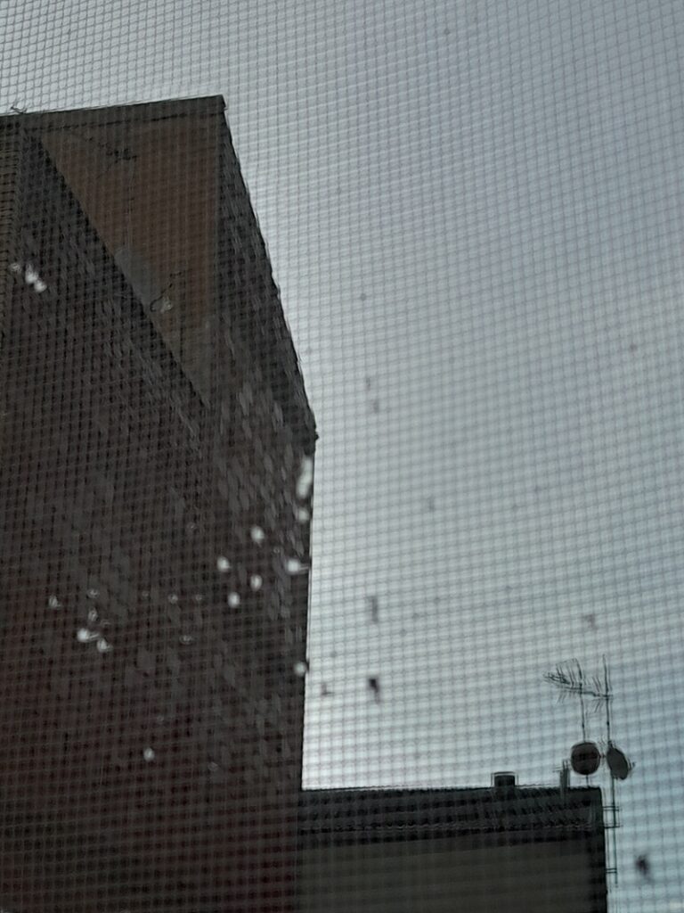 Fotografía a través de una red antimosquitos realizada desde una ventana. Se ven edificios al fondo.