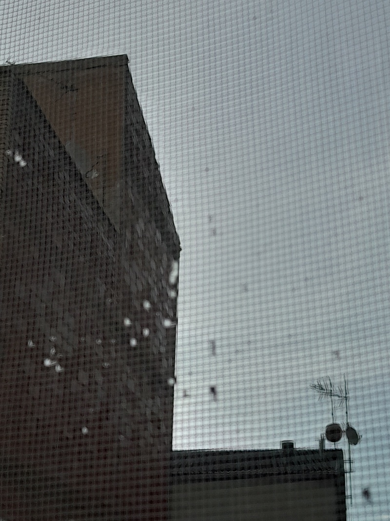 Fotografía a través de una red antimosquitos realizada desde una ventana. Se ven edificios al fondo.
